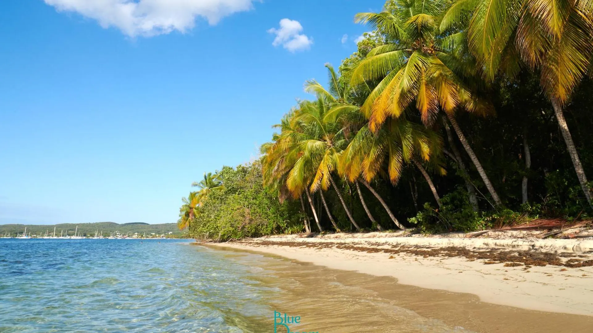 Kawan Nid -Studio Cosy A 200M De La Plage Avec Piscine Et Jardin Prive Pour Un Sejour Detente Au Coeur De Marie Galante Grand-Bourg  0*, Grand-Bourg (Marie Galante) Guadeloupe