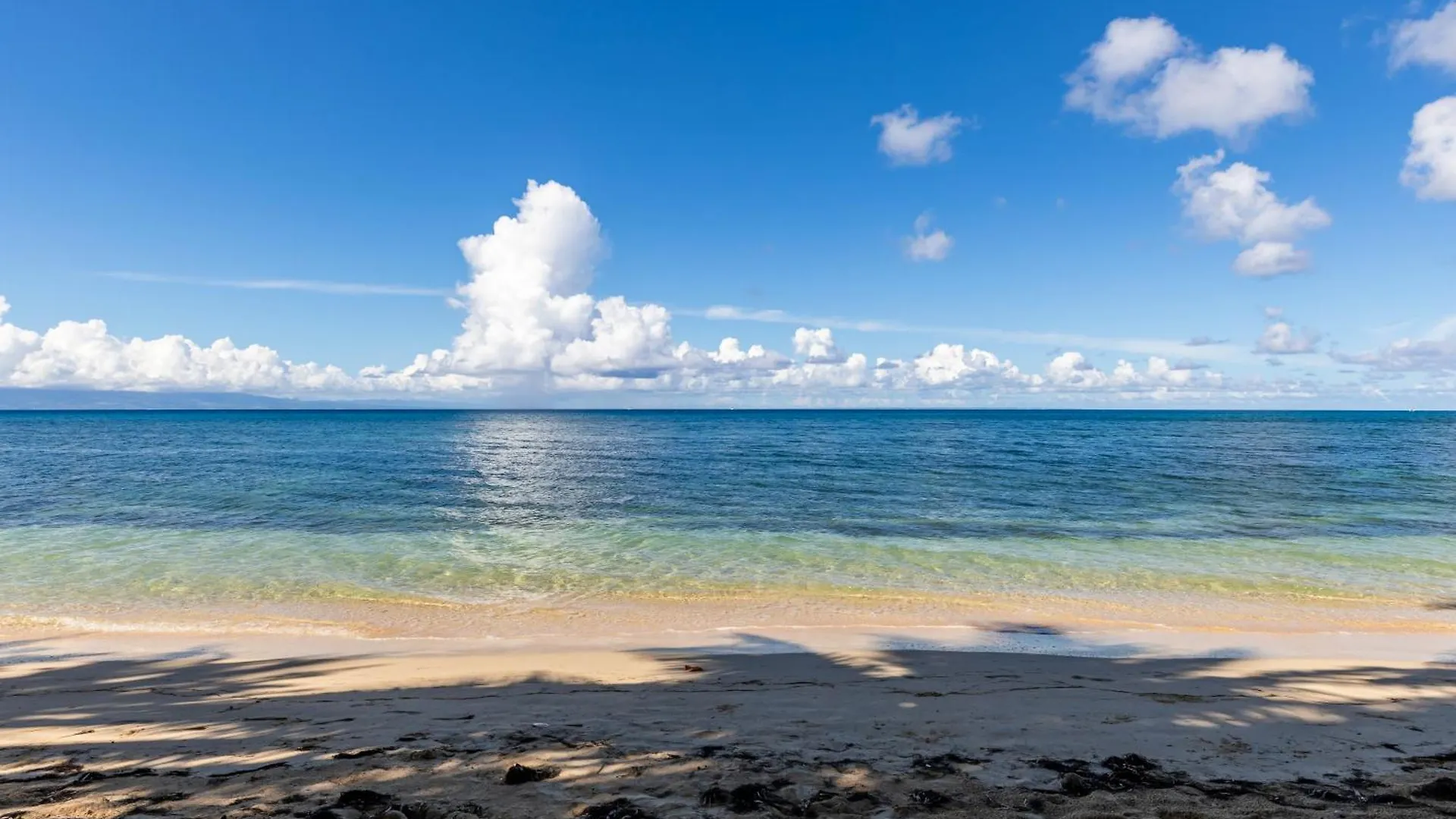 Kawan Nid -Studio Cosy A 200M De La Plage Avec Piscine Et Jardin Prive Pour Un Sejour Detente Au Coeur De Marie Galante Grand-Bourg  0*, Grand-Bourg (Marie Galante)
