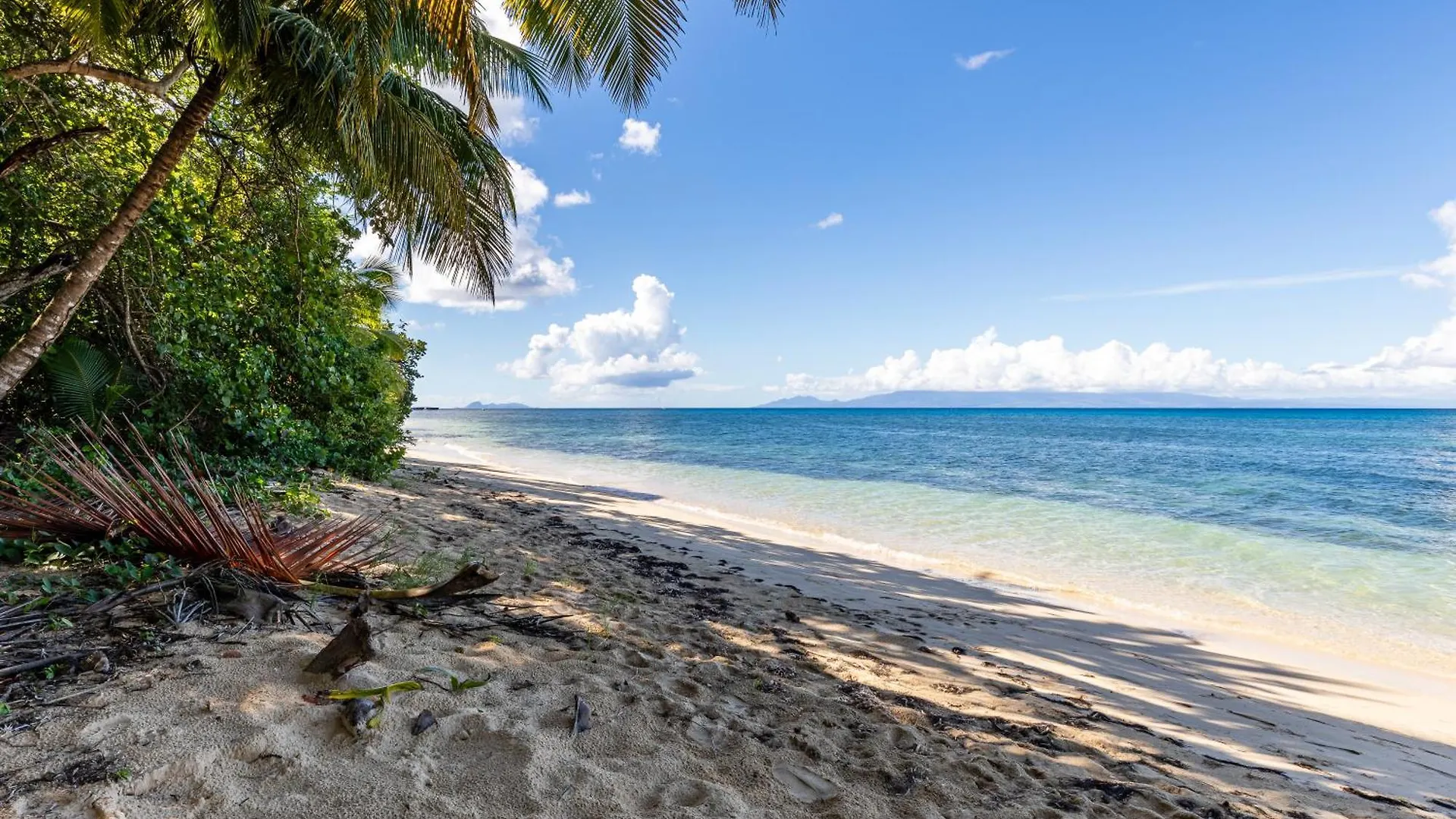 Kawan Nid -Studio Cosy A 200M De La Plage Avec Piscine Et Jardin Prive Pour Un Sejour Detente Au Coeur De Marie Galante Grand-Bourg  Daire
